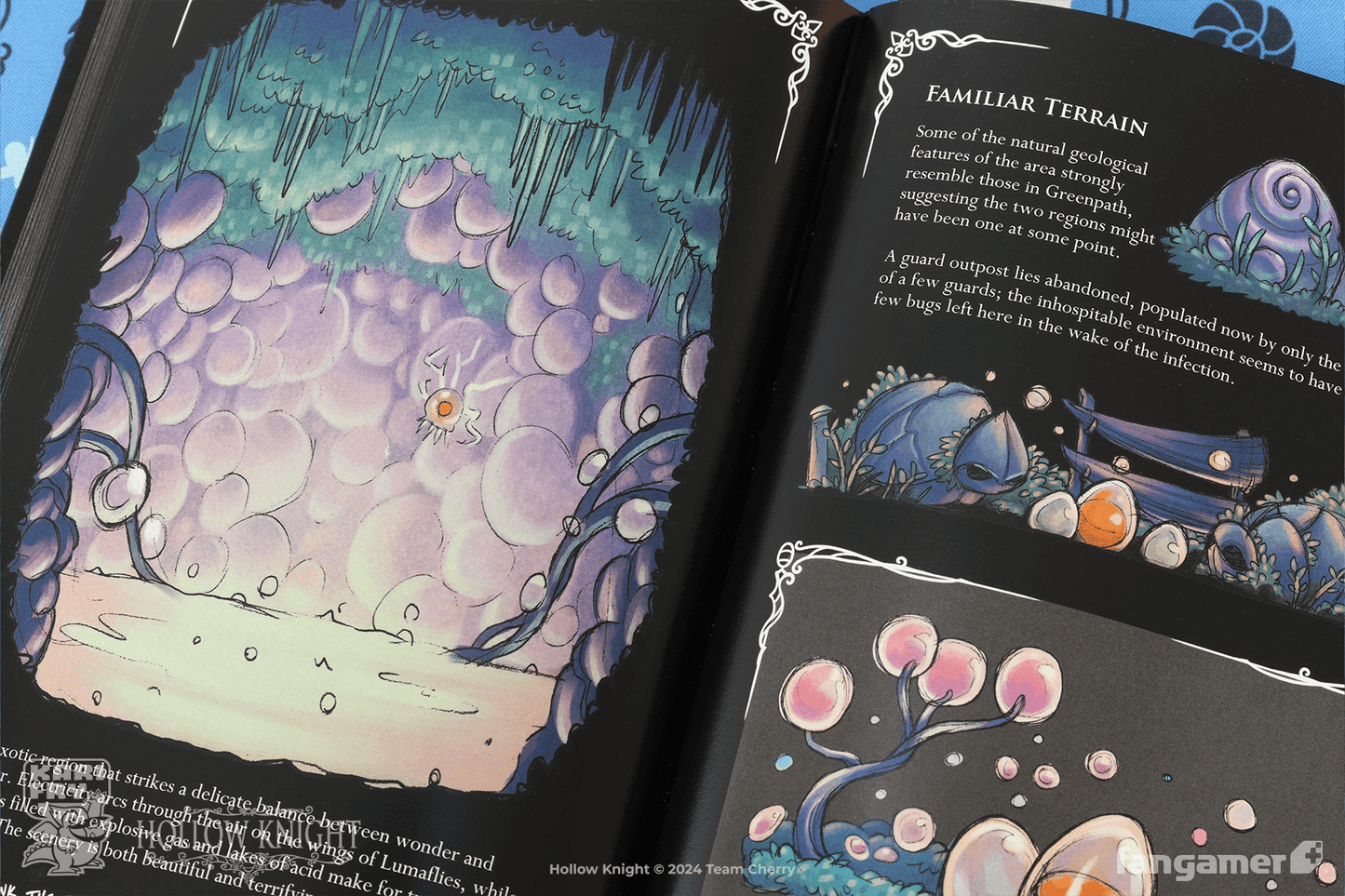 Wanderer's Journal