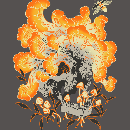 Cordyceps