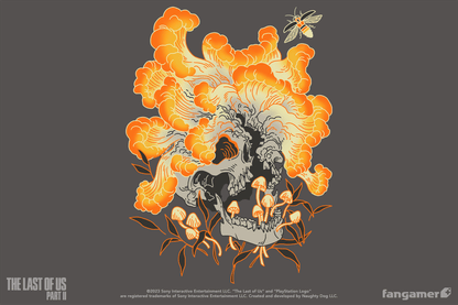 Cordyceps