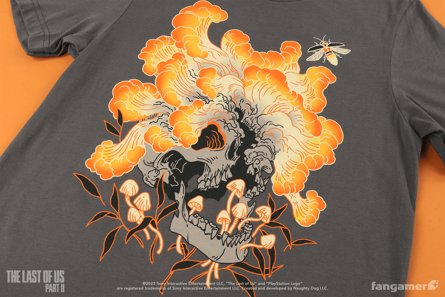 Cordyceps