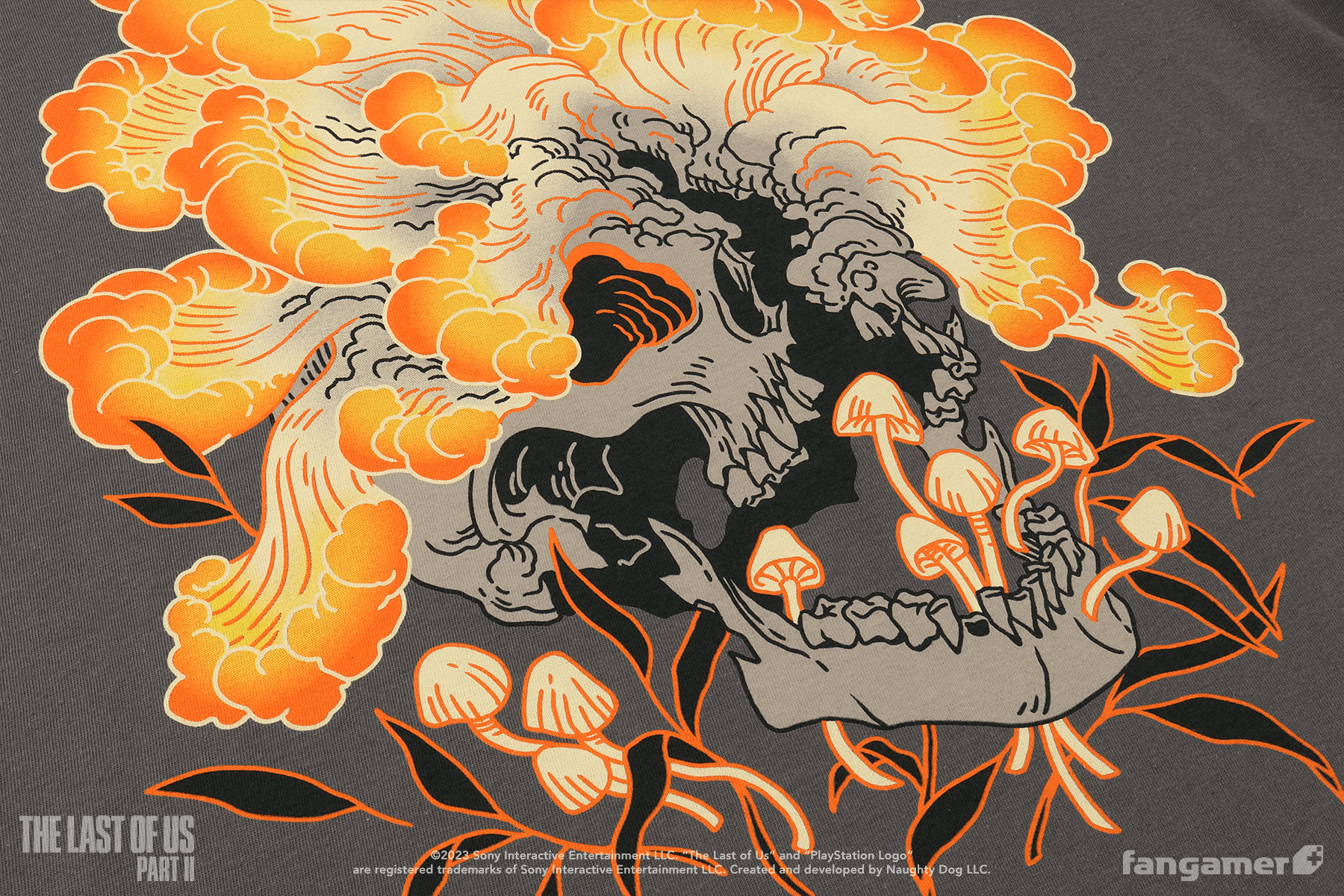 Cordyceps