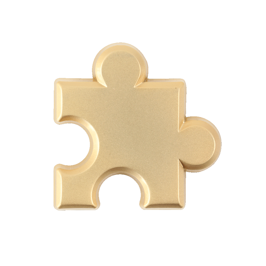 Golden Jiggy Pin