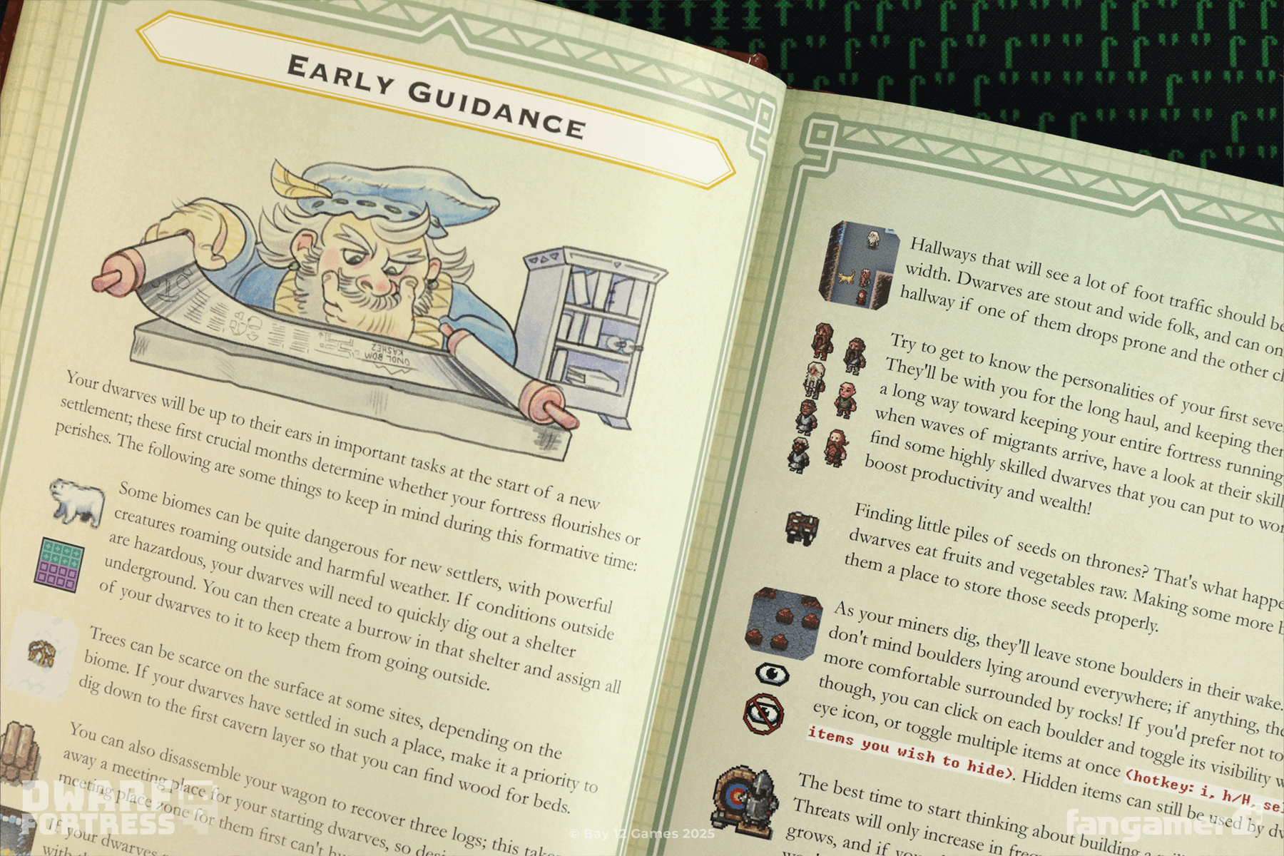 Dwarf Fortress Guidebook